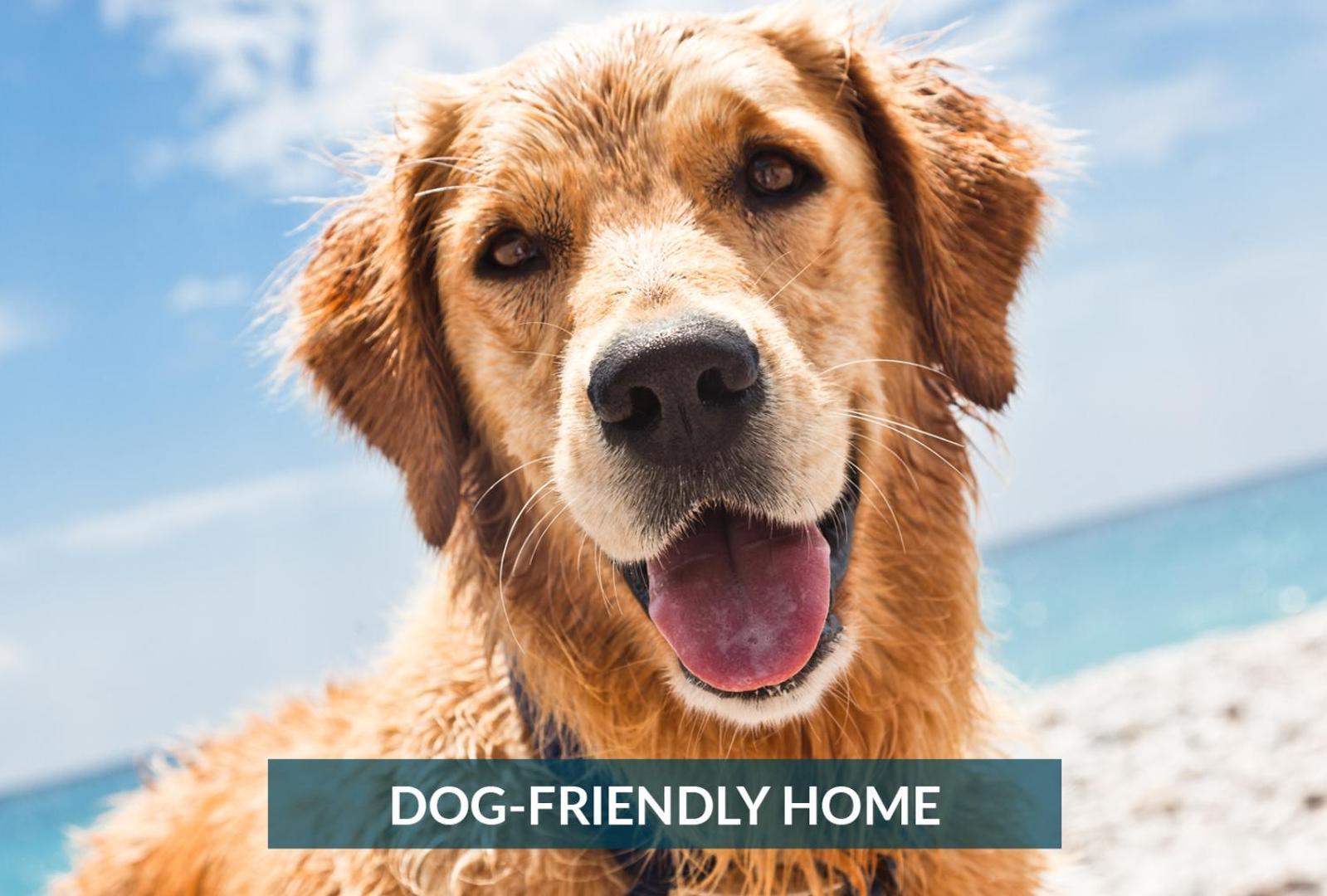 5508 Southern Comfort Dog Friendly Shared Pool Kill Devil Hills Exterior photo